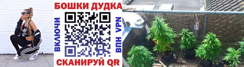 blacksprut ССЫЛКА  Железногорск-Илимский  Марихуана Bruce Banner  дарнет шоп 